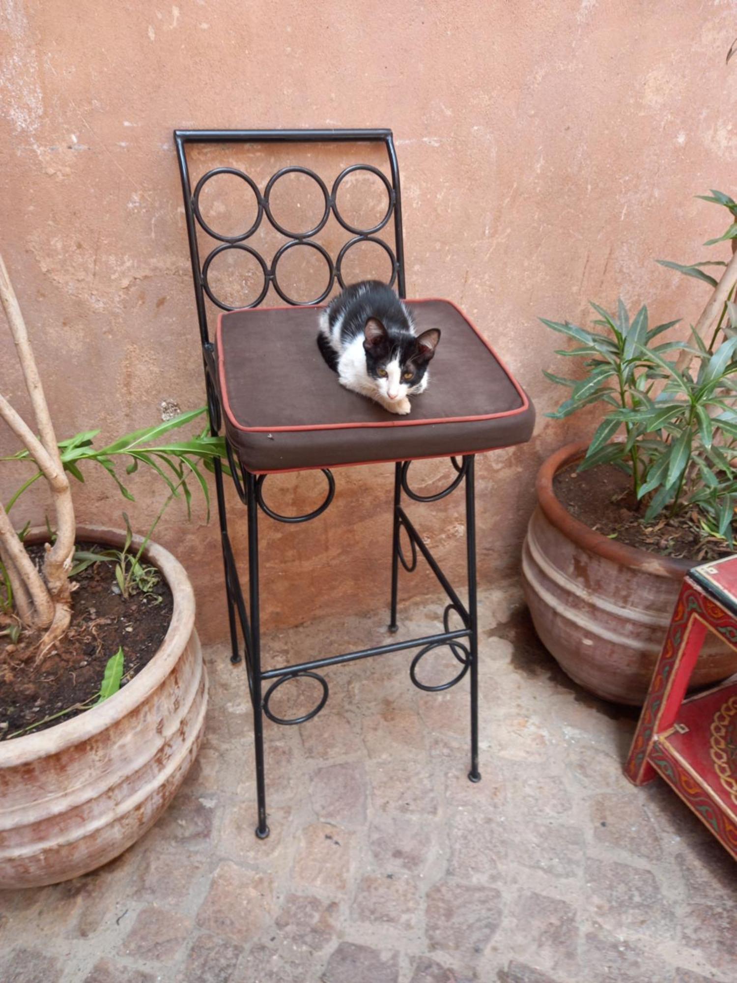 Bed and Breakfast Juli'S à Marrakesh Extérieur photo